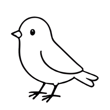 bird