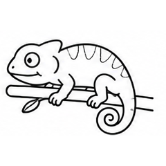 chameleon