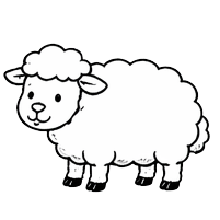 sheep