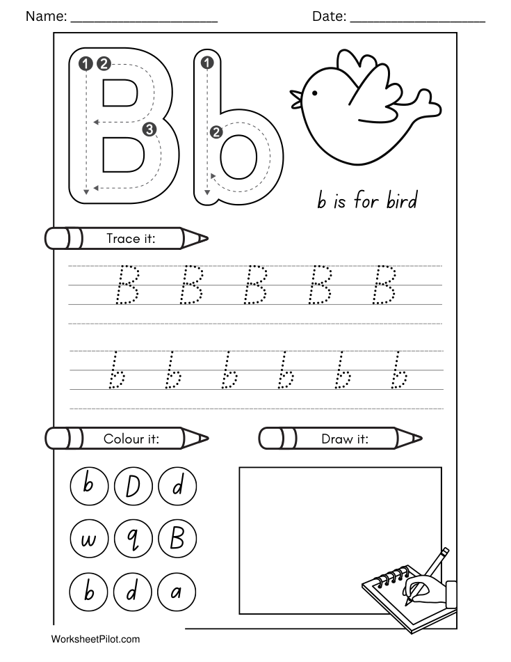 Kindergarten Letter B Tracing Worksheet - Free Printable PDF preview