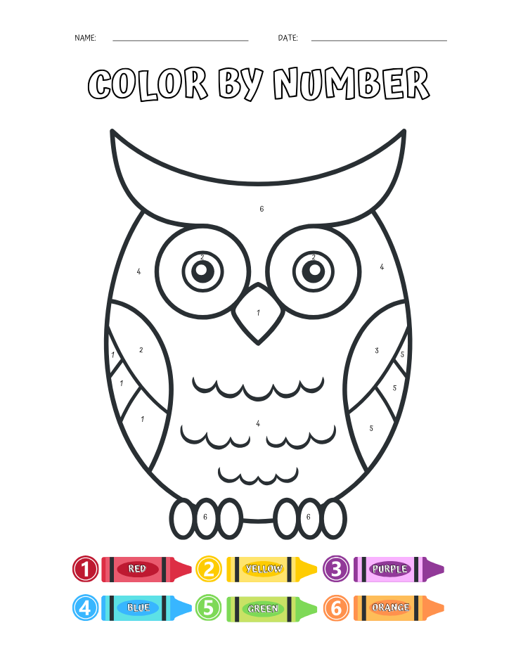 Kindergarten Beginner Owl Color by Number Worksheet - Free Printable PDF preview